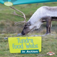 Tundra_Food_Webs_in_Action